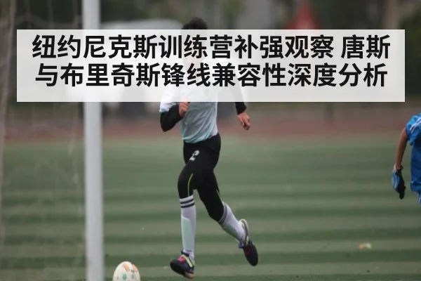 纽约尼克斯训练营补强观察 唐斯与布里奇斯锋线兼容性深度分析